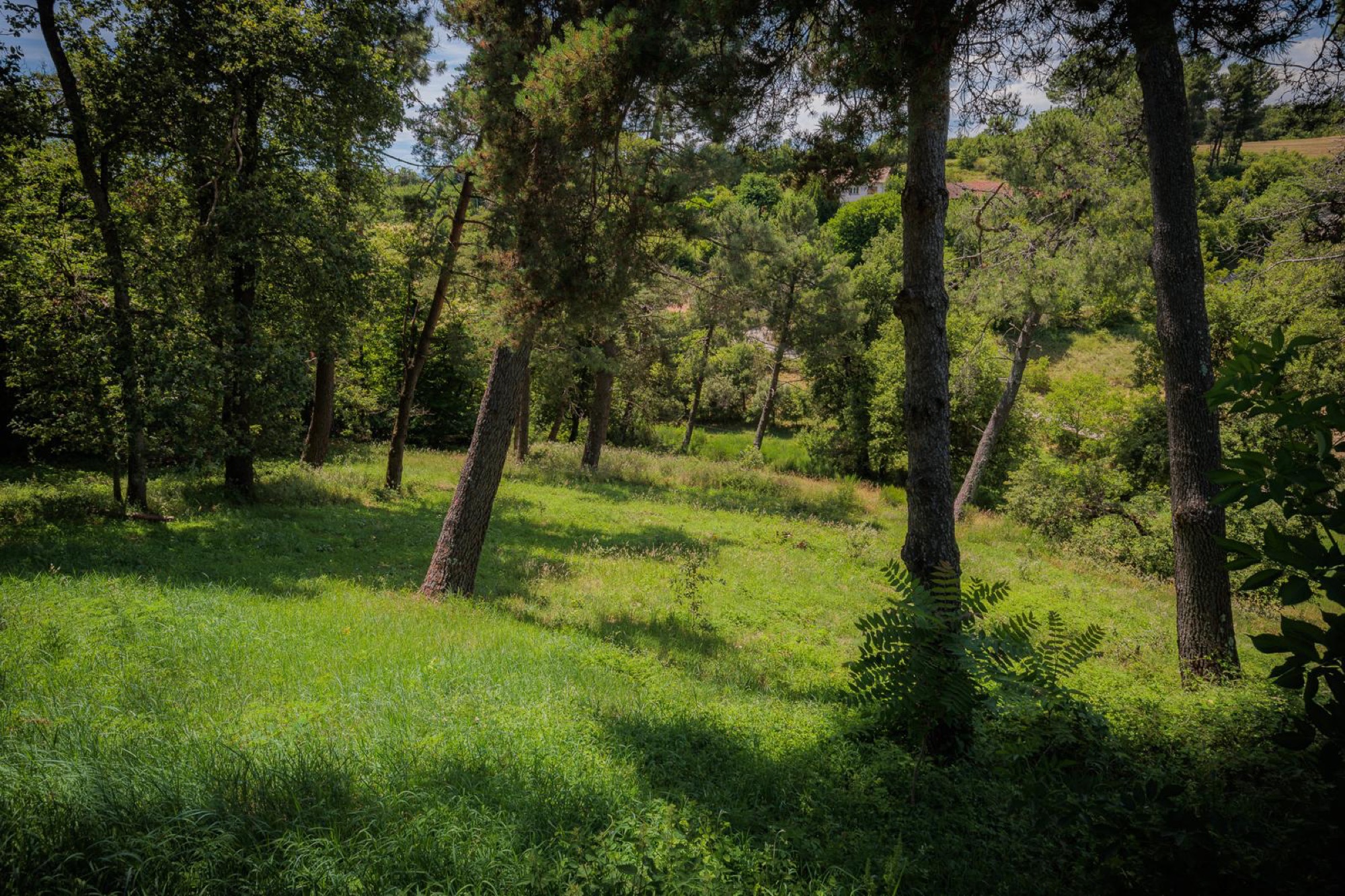 La Bergerie des Collines — photo 1